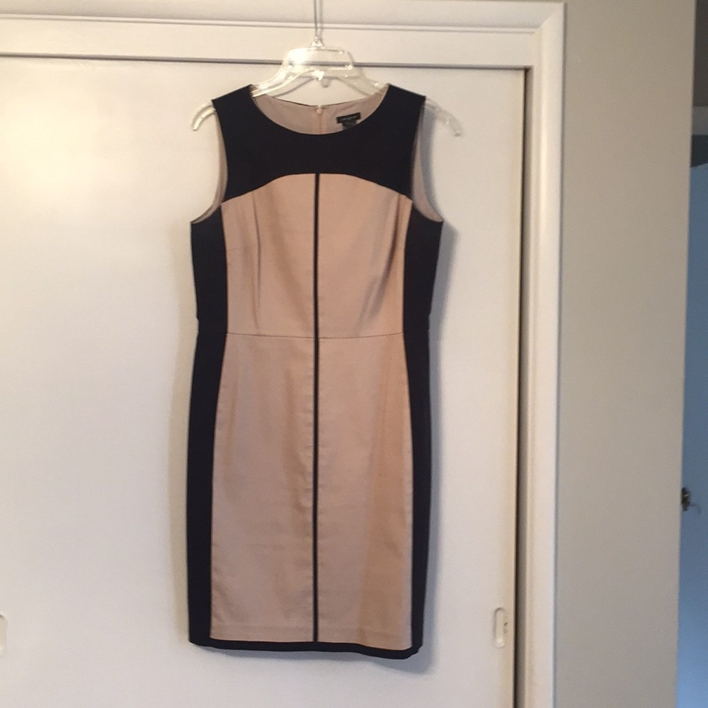 Black and Tan Business Casual/cocktail dress